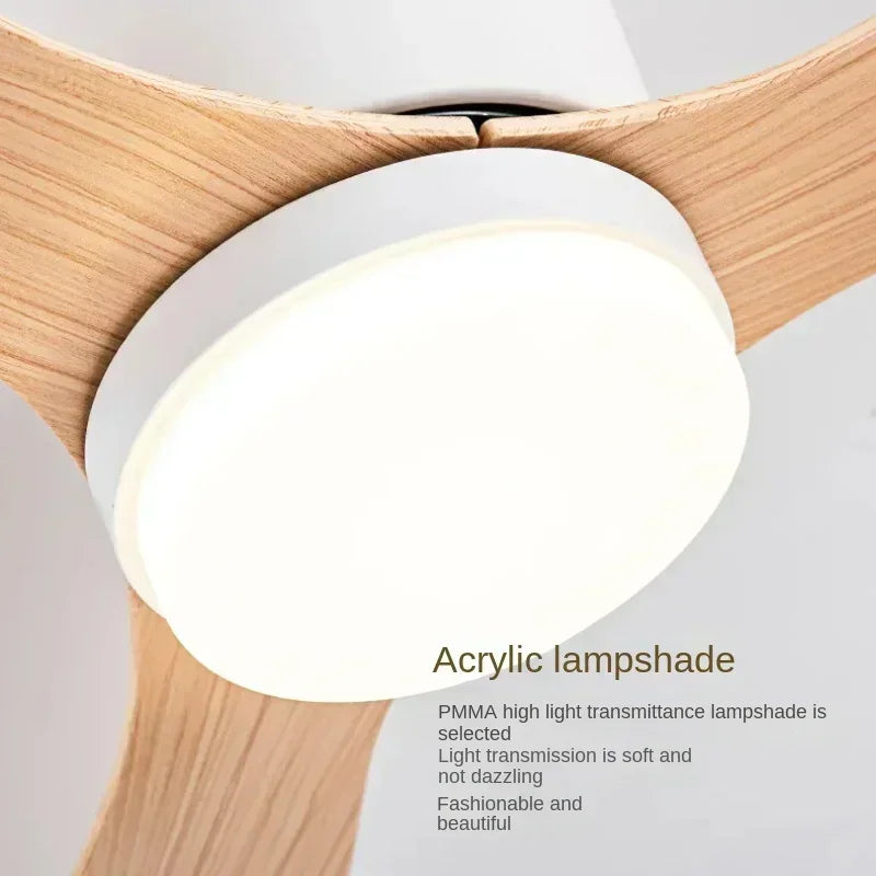 Luci moderne per ventilatori da soffitto a LED, luci decorative da pavimento basso con telecomando – foto 4