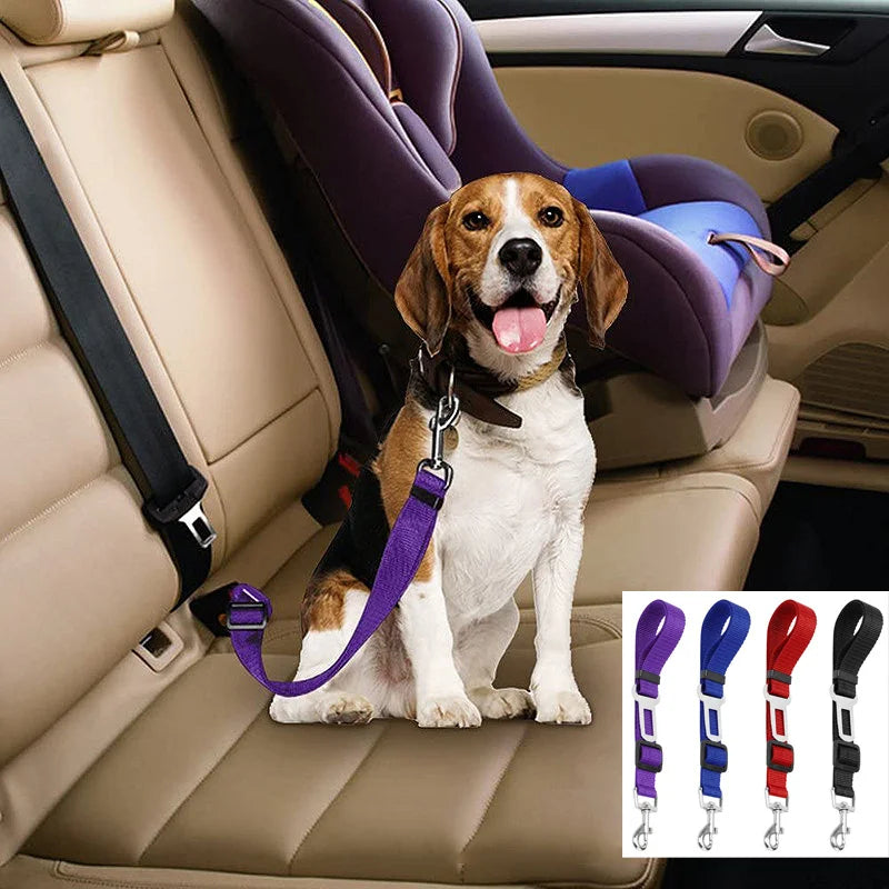 Cintura di sicurezza da auto elastica con clip per cani e gatti