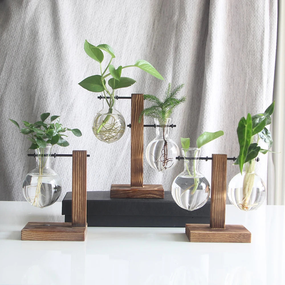 Vaso da tavolo in vetro e legno per piante idroponiche – dettaglio 3