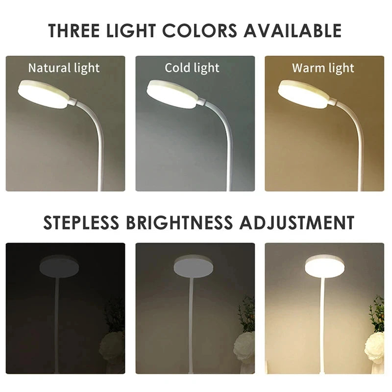 Lampada da Scrivania Portatile a LED per Lettura