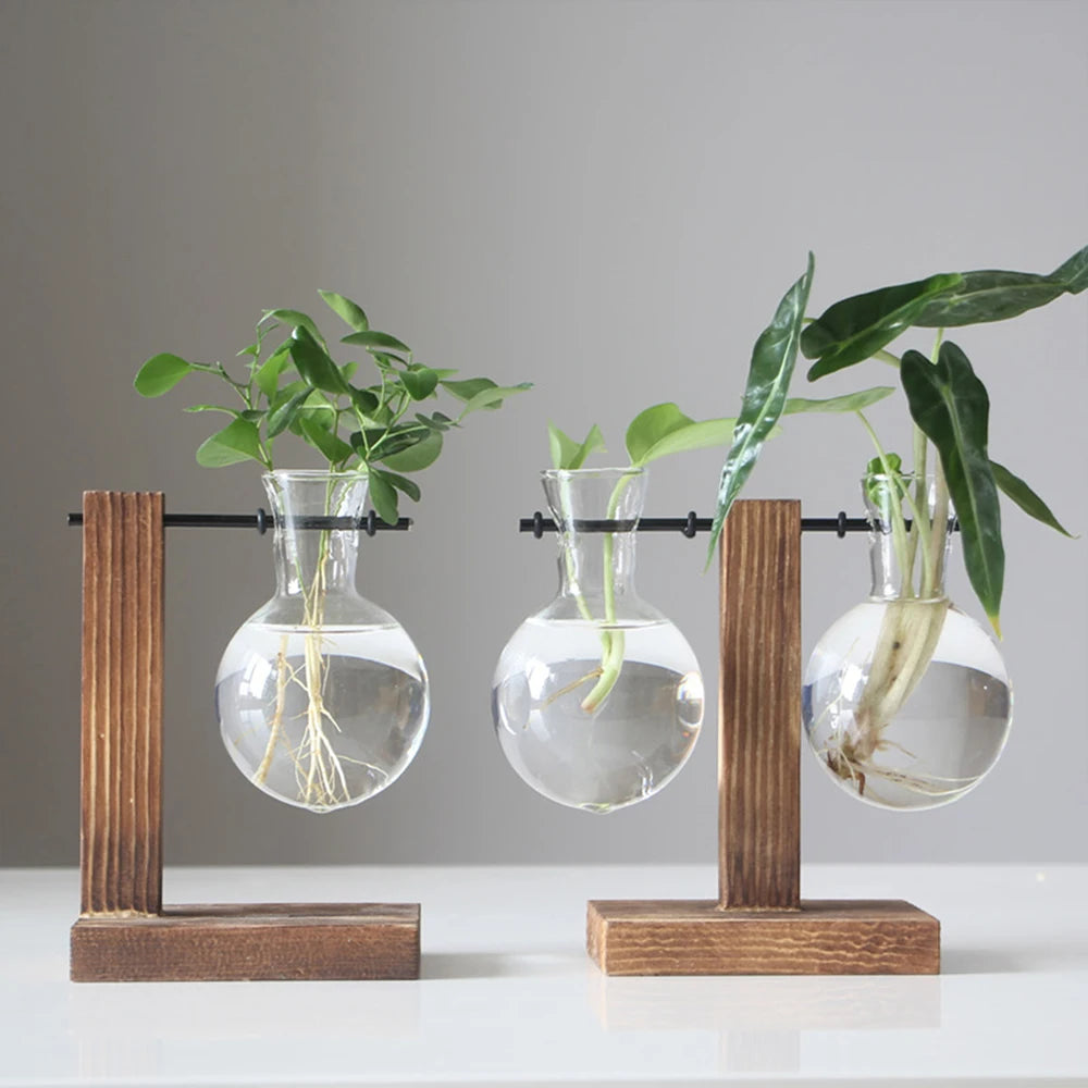 Vaso da tavolo in vetro e legno per piante idroponiche – dettaglio 2
