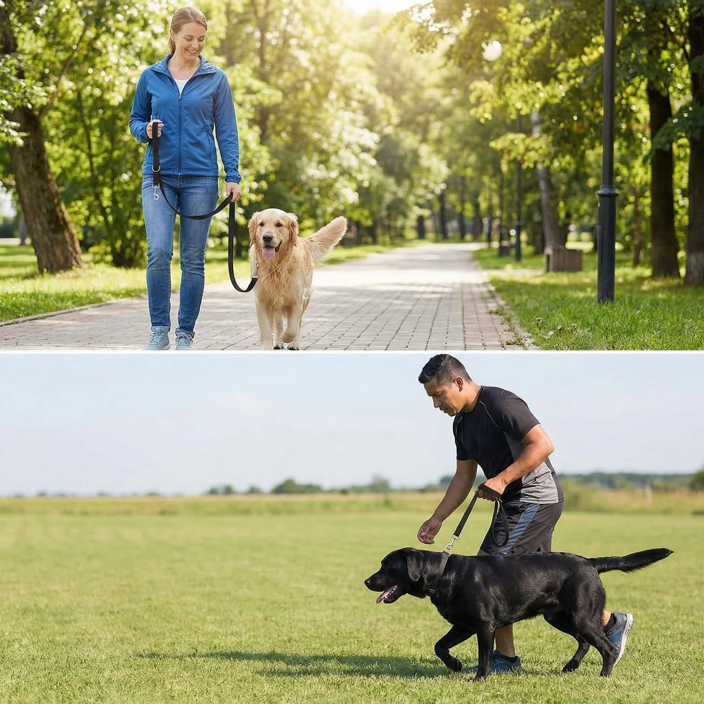 Guinzaglio per cani da esterno a mani libere, guinzaglio regolabile per addestramento e sicurezza, per passeggiate con animali domestici, 2,5 m