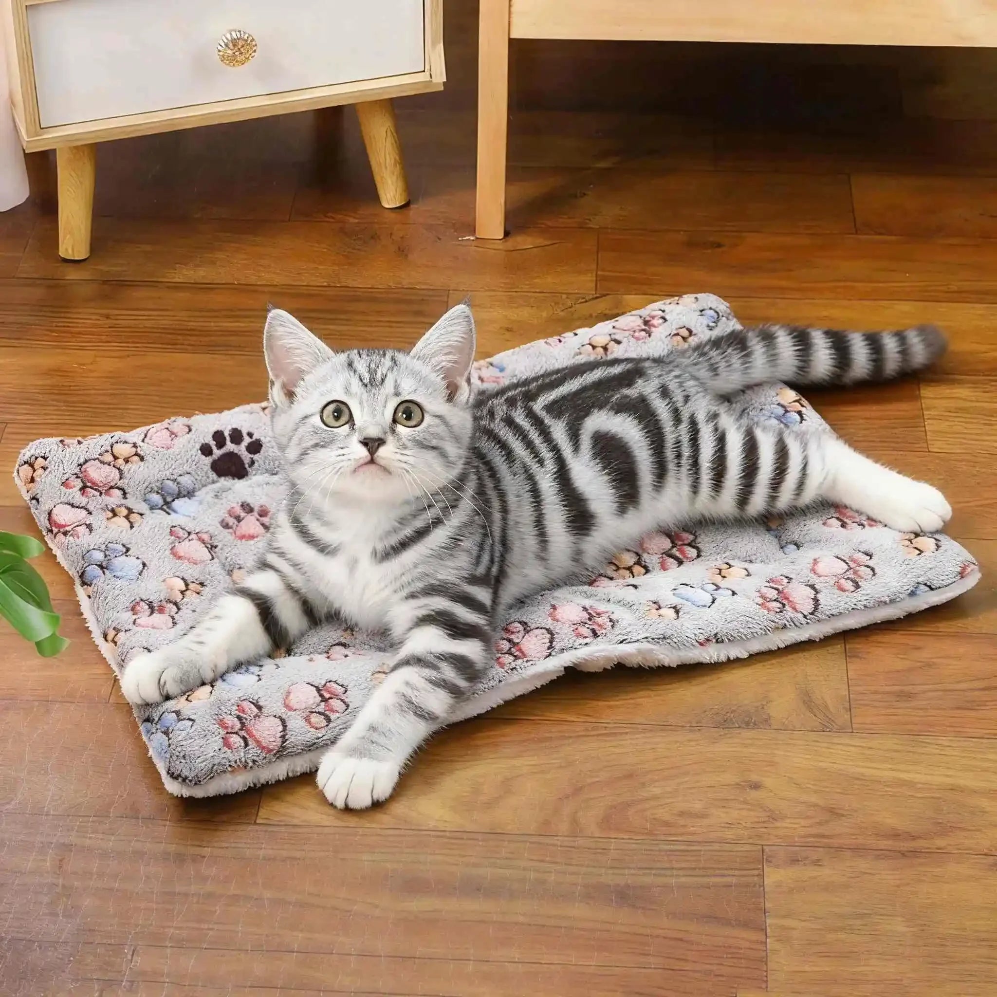 Tappetino morbido lavabile per cani e gatti, 4 misure – dettaglio 2