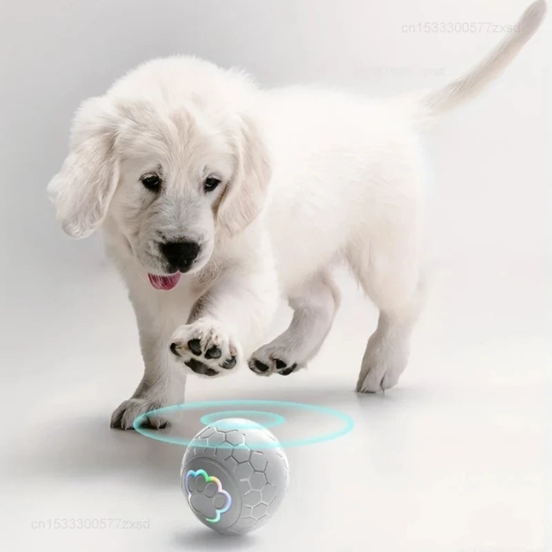 Palla interattiva per cani con luci RGB e rimbalzo automatico – dettaglio 1