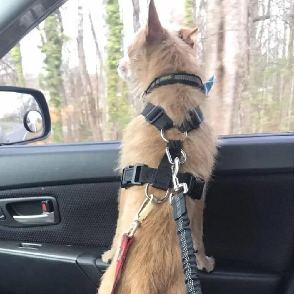 Guinzaglio elastico per cani con cintura di sicurezza auto – dettaglio 5