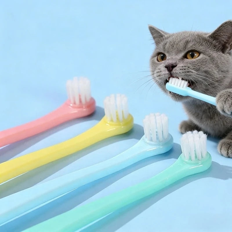 Spazzolini da denti per cani e gatti, set da 1, 4 o 8 pezzi – dettaglio 1