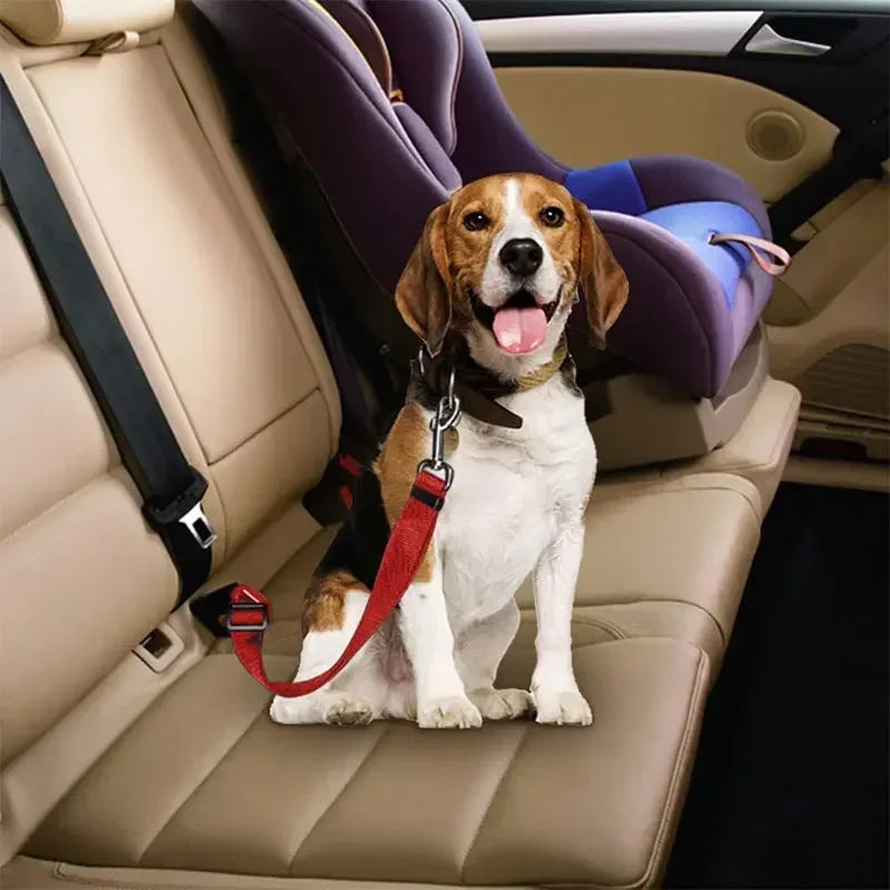 Cintura di sicurezza da auto per cani piccoli e medi – dettaglio 1