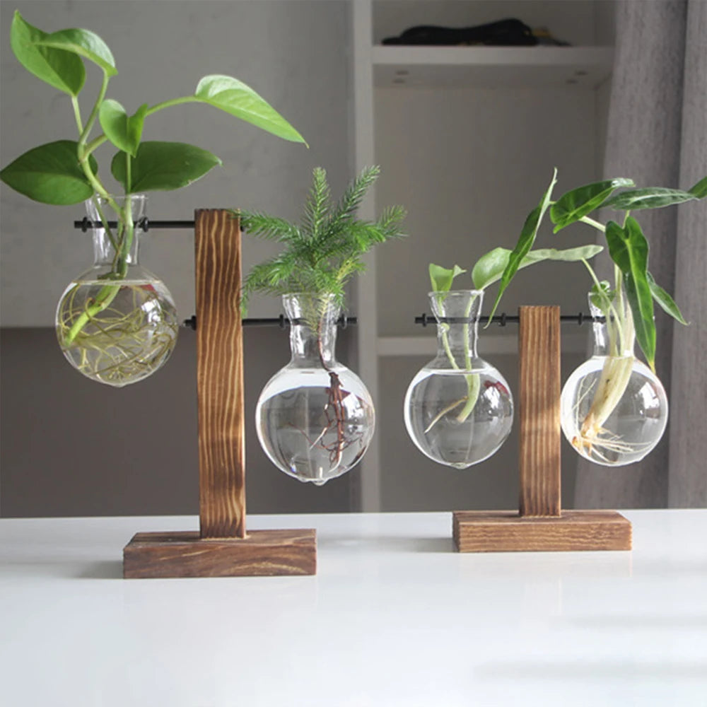 Vaso da tavolo in vetro e legno per piante idroponiche