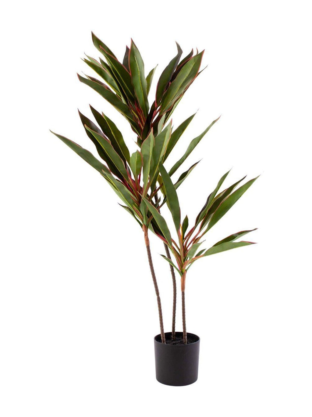 Pianta artificiale Dracaena H95