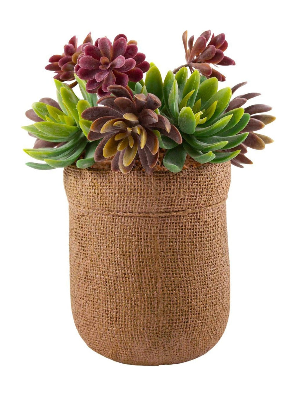 Pianta succulenta artificiale in vaso, 19X15,5H21 cm