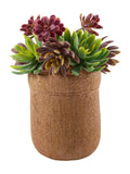Pianta succulenta artificiale in vaso, 19X15,5H21 cm